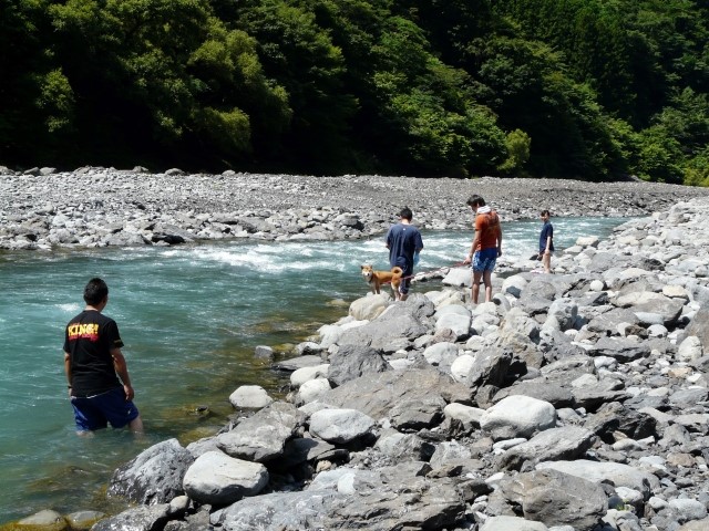 川遊びワンコ