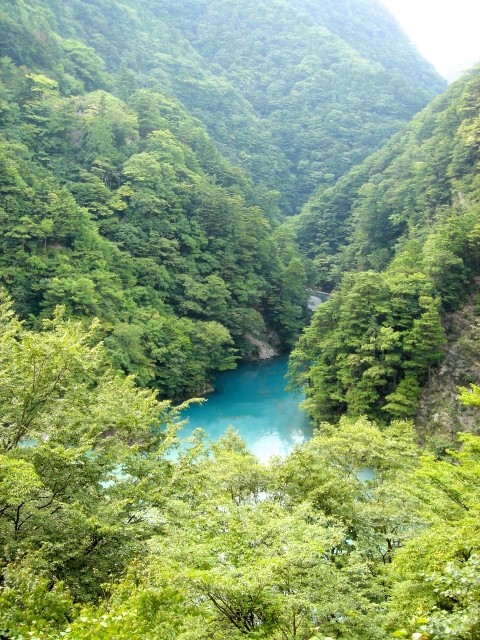 奥川根風景