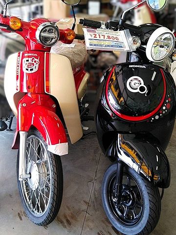 ホンダキティカブとくまモンジョルノ